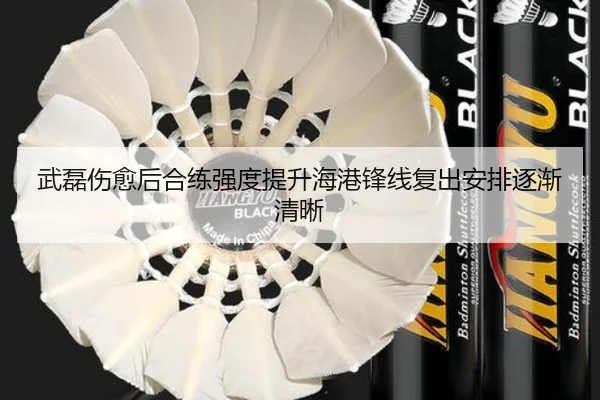 武磊伤愈后合练强度提升海港锋线复出安排逐渐清晰